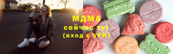прущие грибы Новозыбков