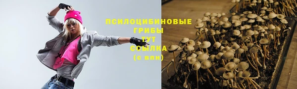 прущие грибы Новокубанск