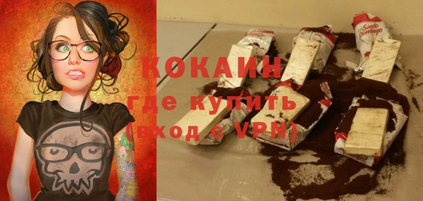 прущие грибы Новозыбков