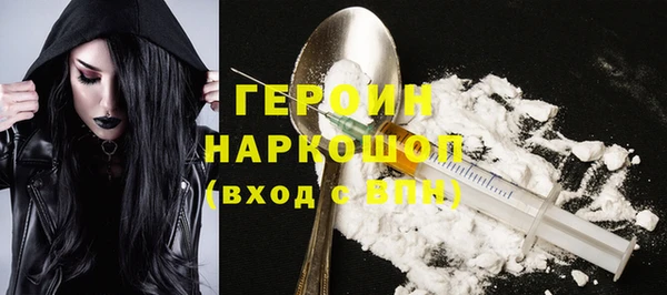 прущие грибы Новозыбков