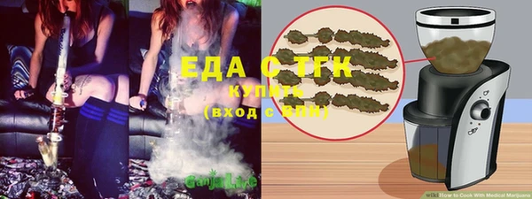прущие грибы Новозыбков