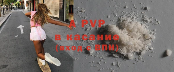 прущие грибы Новокубанск